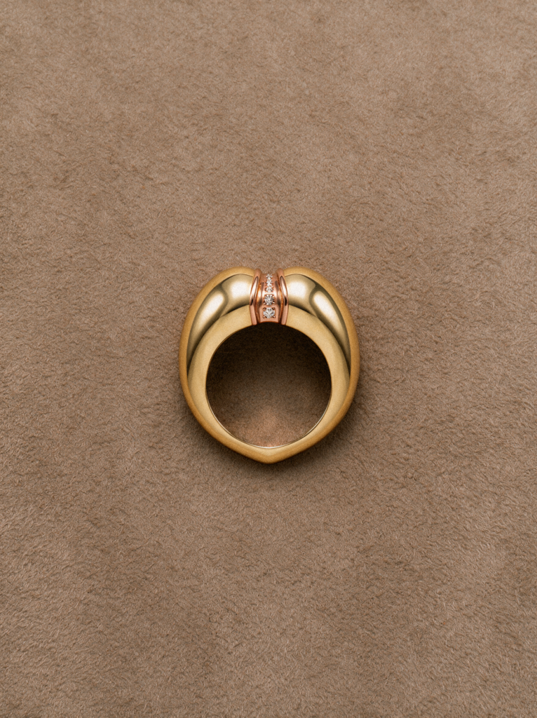 Ring_18k yellow gold_bronze_Diamonds